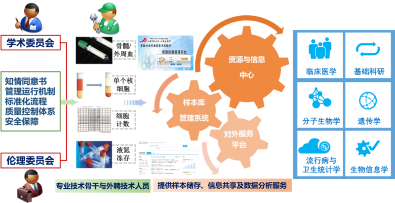 未来医疗的新篇章:基因检测服务的行业动态